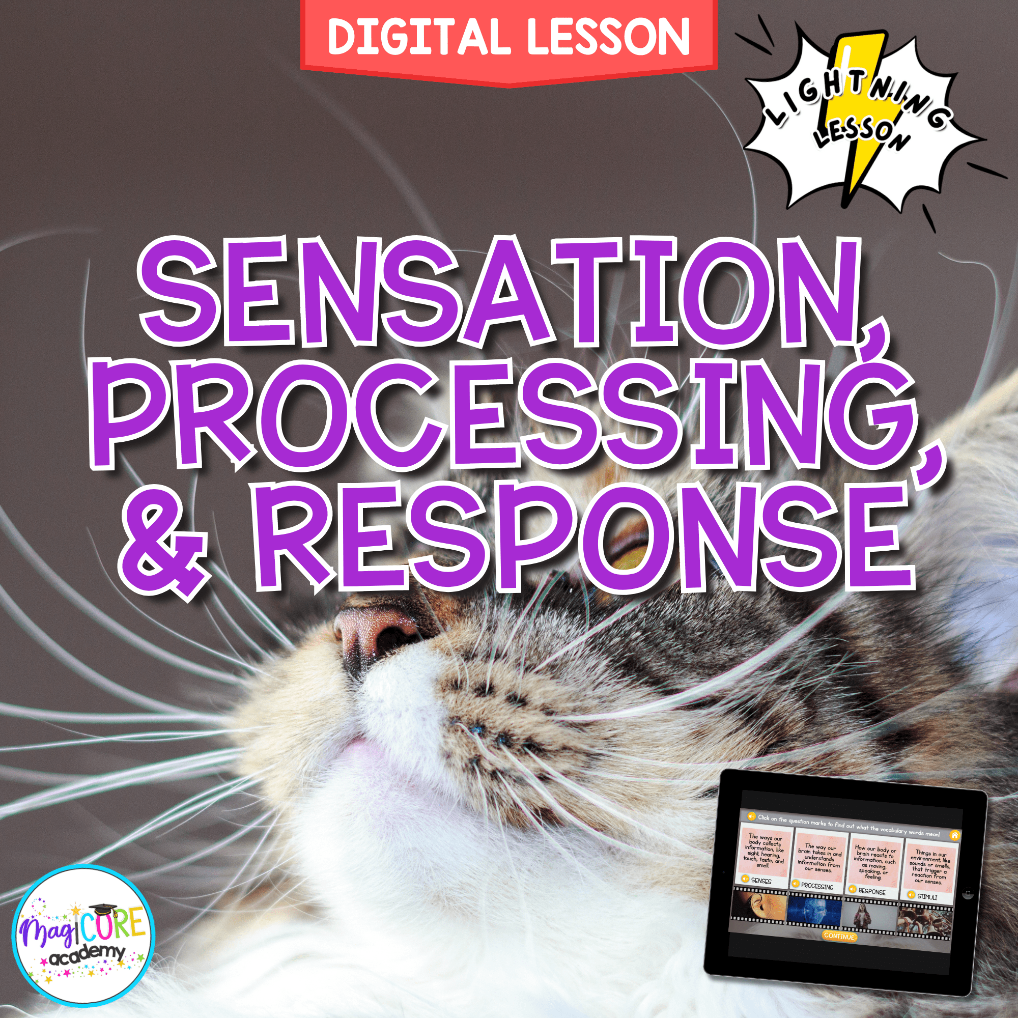 Sensation, Processing & Response Digital Science Activity 4th Grade NGSS 4-LS1-2