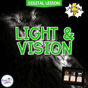Light and Vision Digital Science Activity 4th Grade NGSS 4-PS4-2
