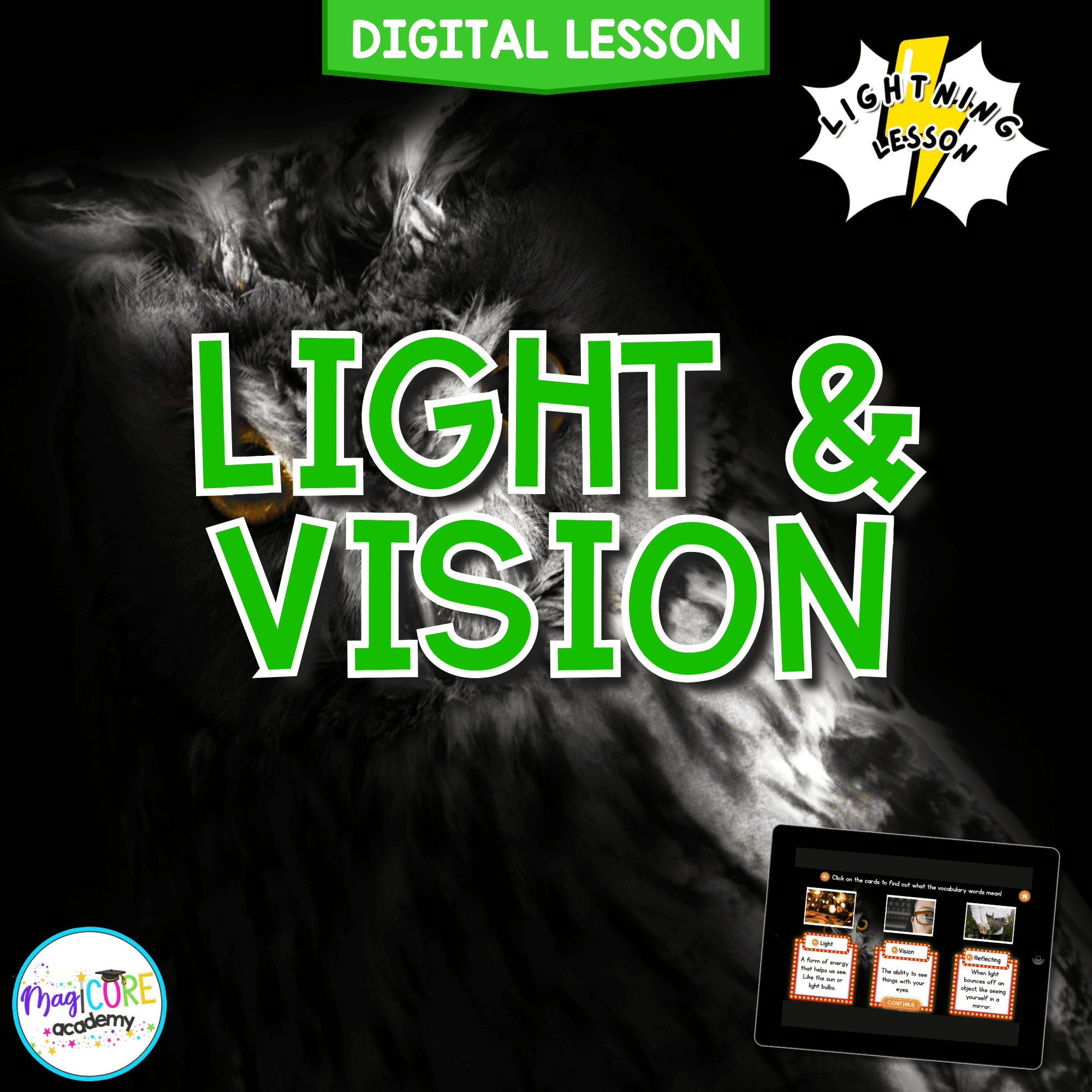 Light and Vision Digital Science Activity 4th Grade NGSS 4-PS4-2