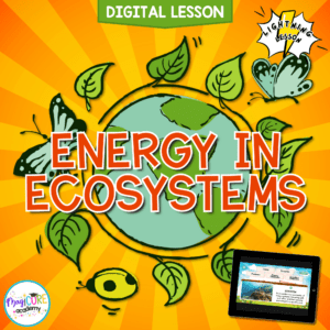 Energy in Ecosystems Digital Science Activity 5th Grade NGSS 5-PS3-1