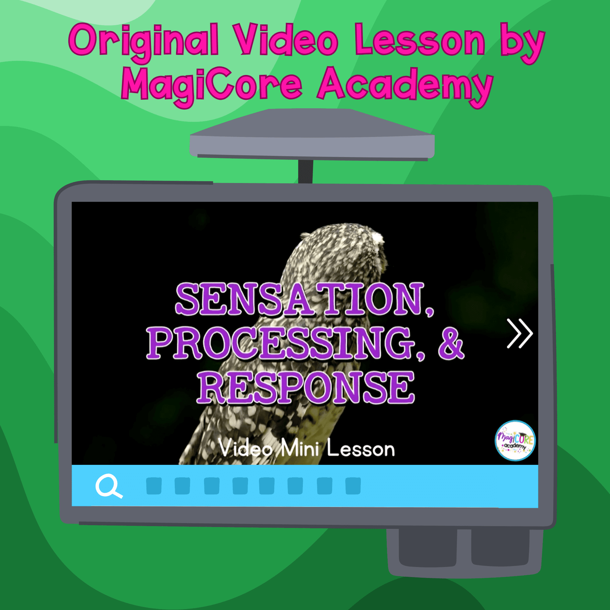 Sensation, Processing & Response Digital Science Activity 4th Grade NGSS 4-LS1-2 - Image 2